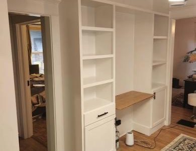Custom Built In Cabinet Addition
