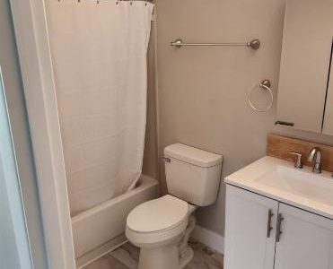 Home Bathroom Remodeling